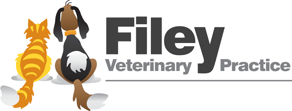 Filey Veterinary Practice